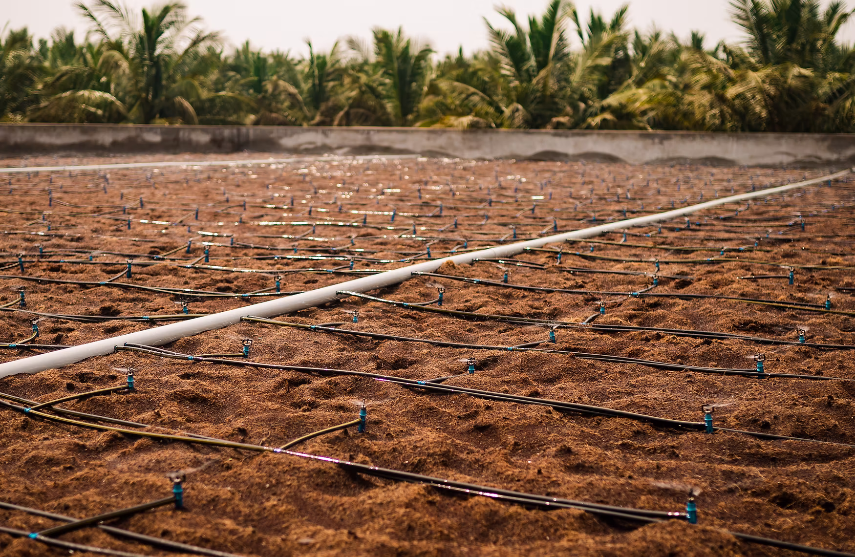 Coco Coir Products